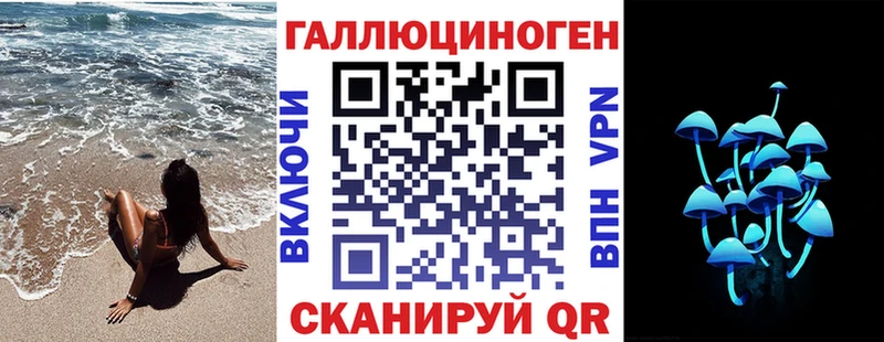 Галлюциногенные грибы Psilocybe  Купить где  Валдай 